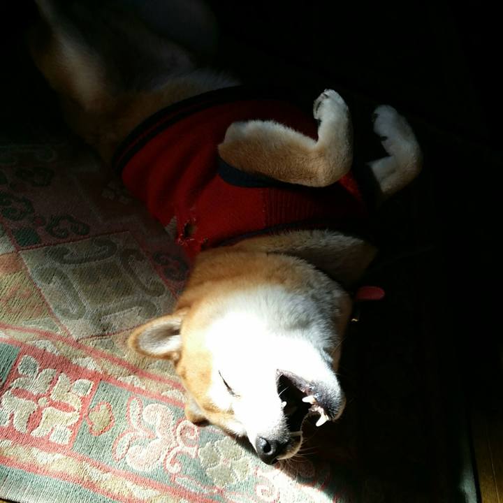 9f393a22 de52 43b5 a8dd e828318d9720