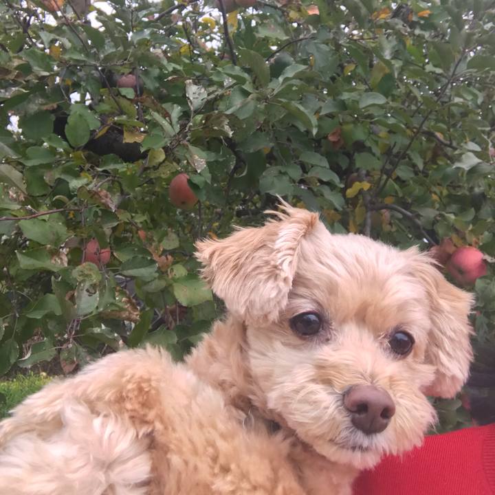 9f399793 69f9 4c80 87db f5e7a9d8b6b8