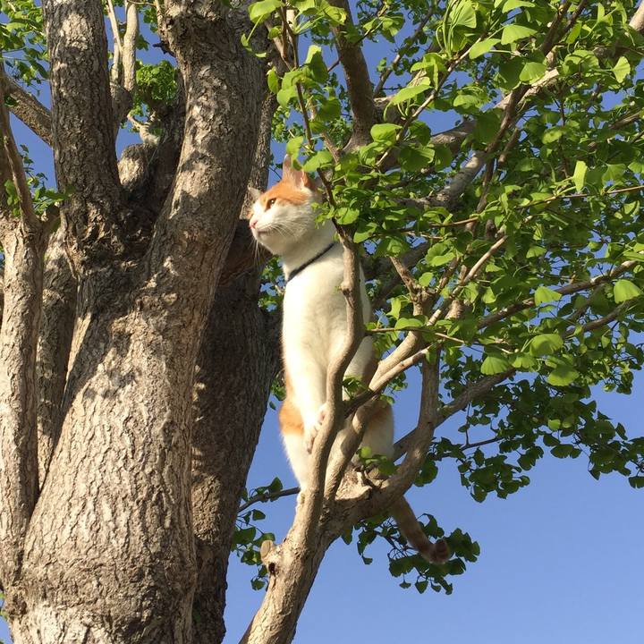 9f39a62c 1c68 4823 b6d4 b2b0812ba051