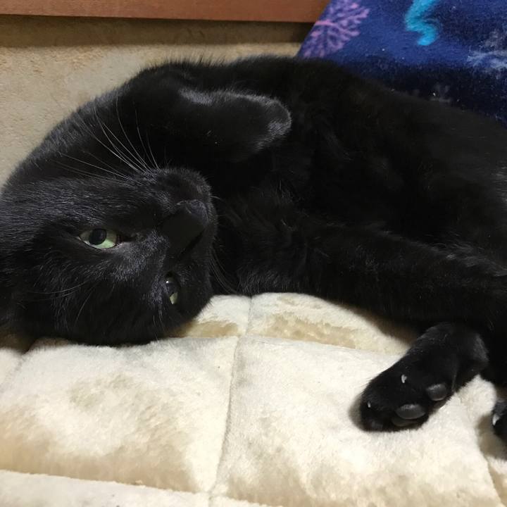 9f3a153c df34 4509 a261 f3b6b7407793