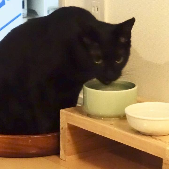 9f3a288e c435 4e56 b4a4 9dca54a6ddb1