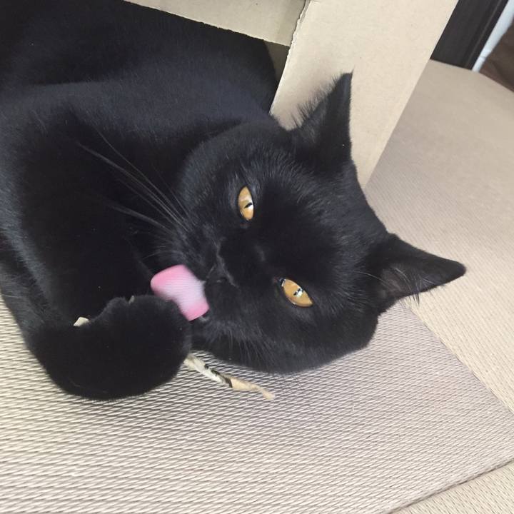 9f3ad970 2988 4564 ba81 3c00f5c7f4e8