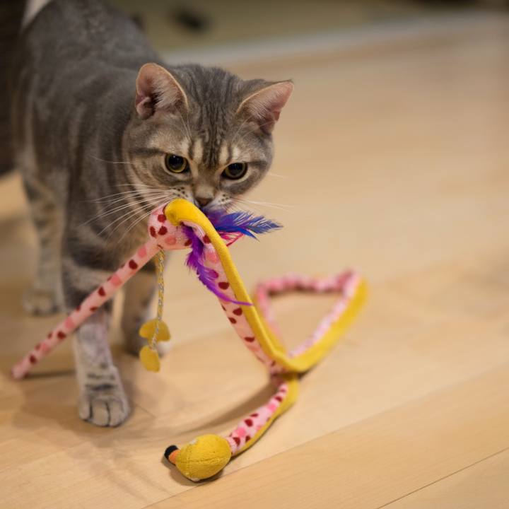 9f3c04b4 90d4 4635 a6dd fa542356c1e2