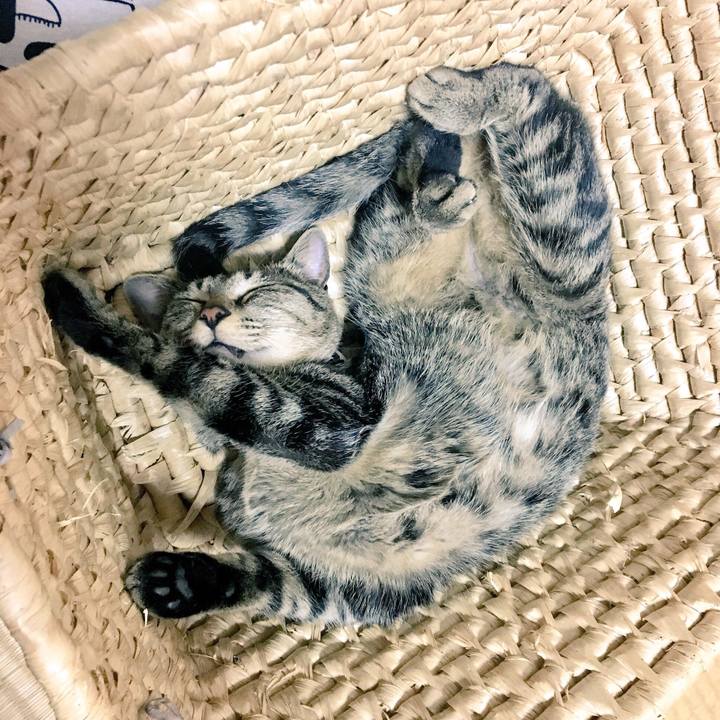 9f3c91de 5290 43a0 90d5 cad4b48b85aa