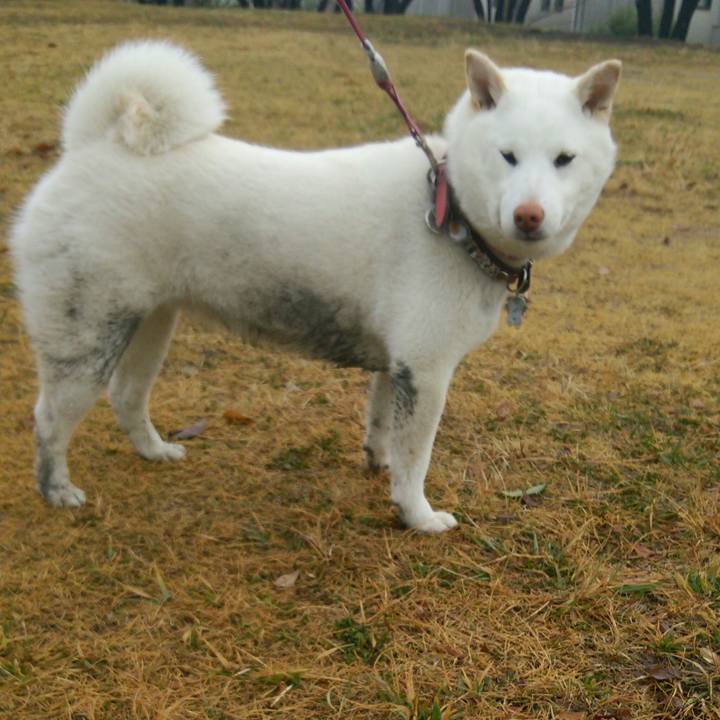 9f3ca520 9715 45da 974c e788b3a84713