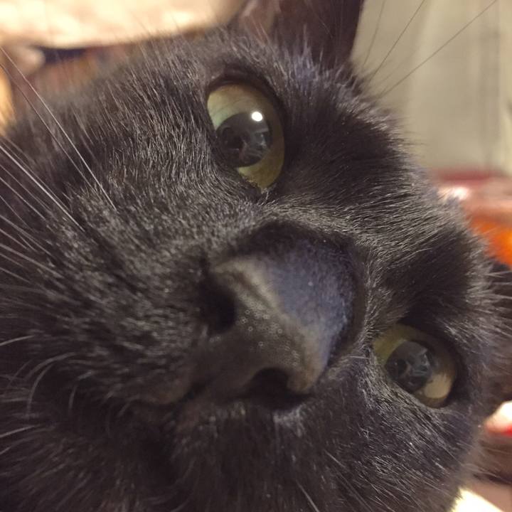 9f3d71c3 c7bd 46b1 982e 2103609df7c0