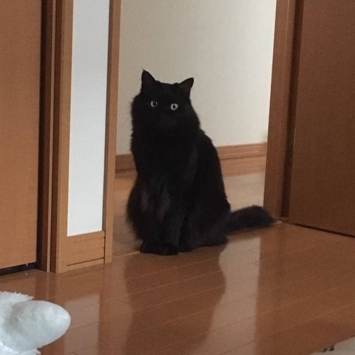 9f3ec160 8c62 4e27 97bf d1a6d870f1c5