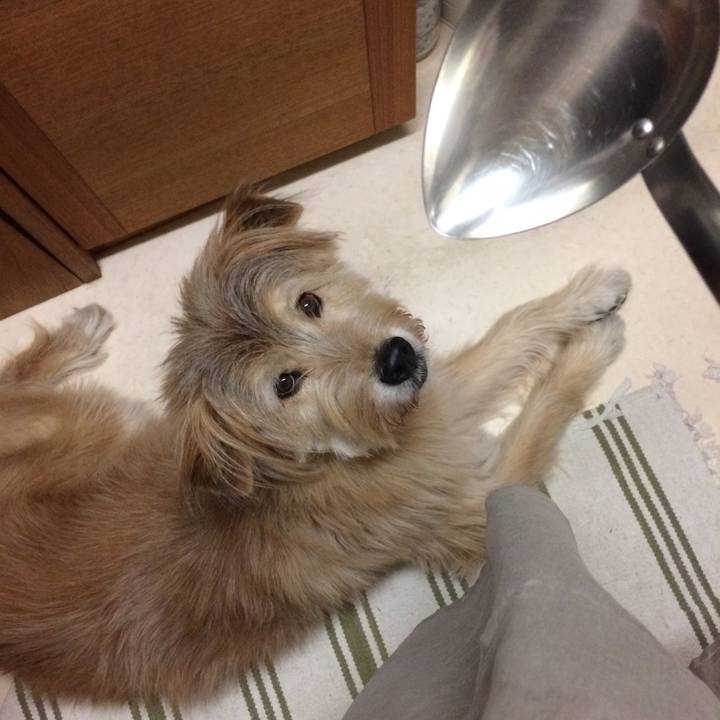 9f3f0e7d af1c 4a9d ac11 e3ba3fc6e49c