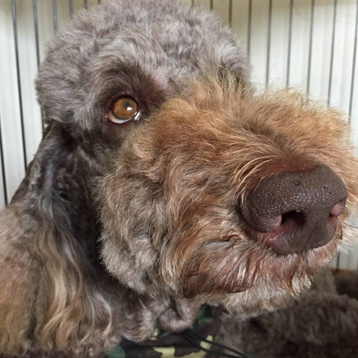 9f3f37db 8cb5 480a 8ec2 1844acf9d9bb