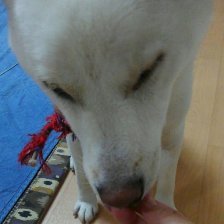 9f40023b 8666 479c 9773 ab1f502bc7da