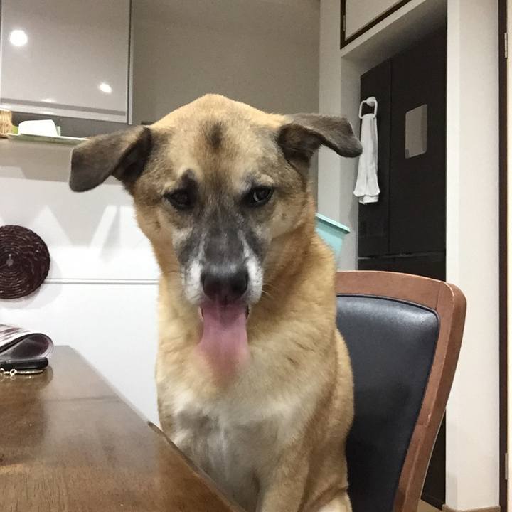 9f403c3c b0a2 408e b065 d804bb52c025