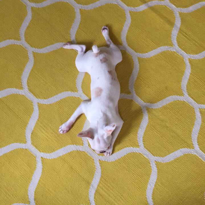 9f4087a6 ec61 4c85 9f34 64ed154ae5a9