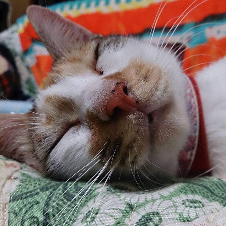 9f413270 dcae 4c0e aa0a c3ae2559c03a