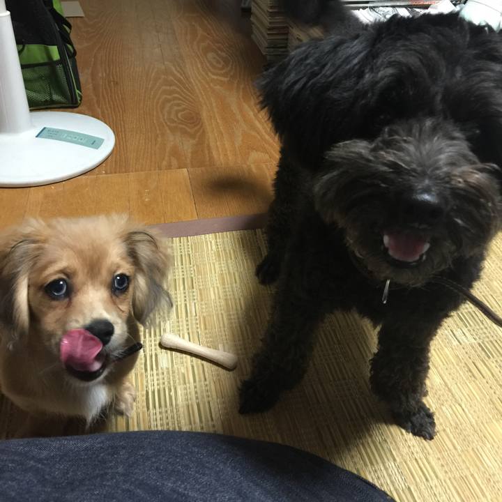 9f41b9a3 d74a 46fe 9753 9e5e3a9642a3