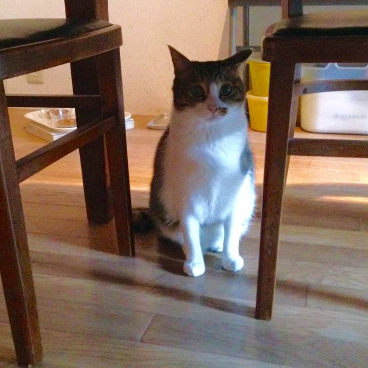 9f41def3 2236 475b 8422 9bd8f7cf3c3a