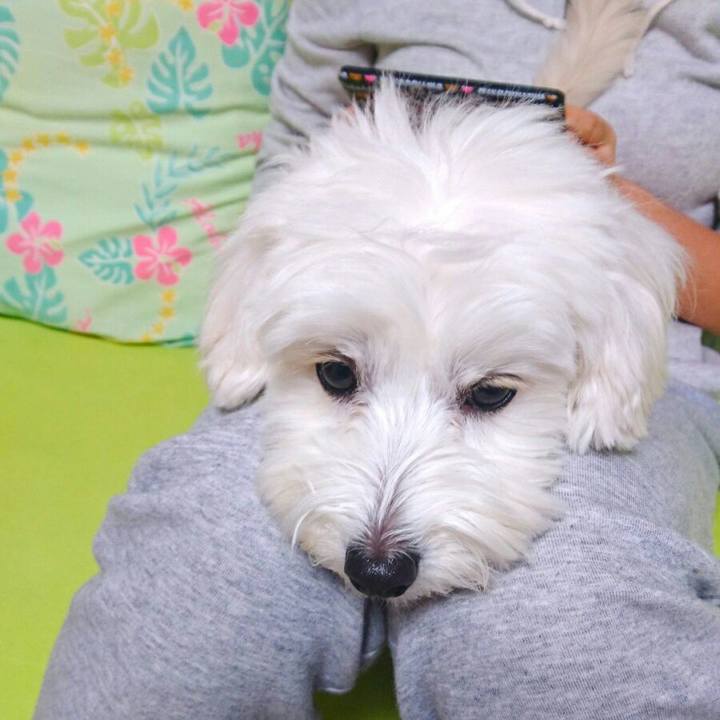 9f425126 95b6 49ee 891f 502c9b7c39ae