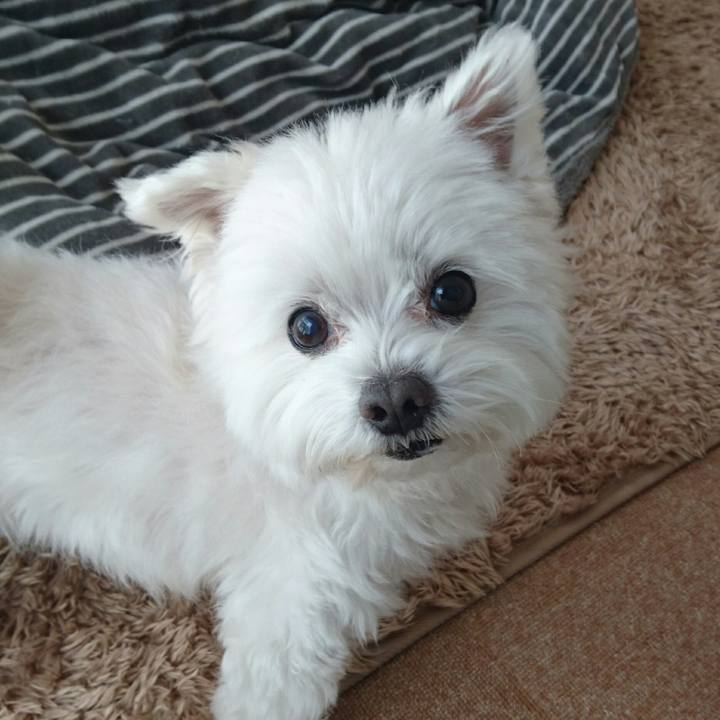 9f4251f2 1c69 4f49 9e82 3a58dccc1bcc