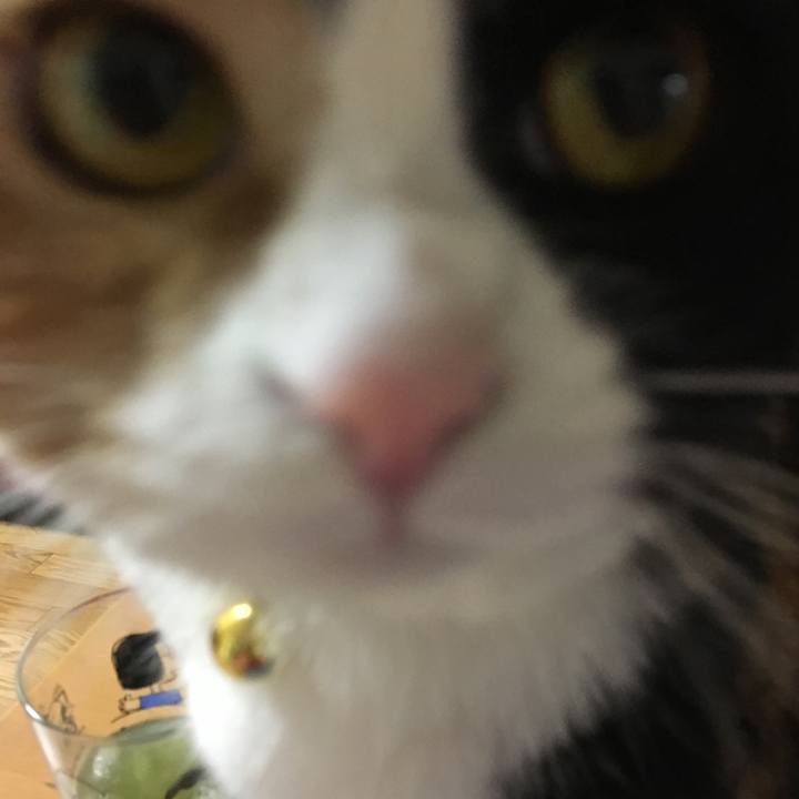 9f433139 42ba 484e bf48 e2141c0acfa2