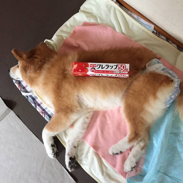 9f435a1a 426f 491a a801 847863391af9