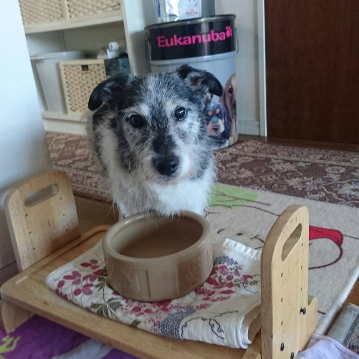 9f43aae9 2860 43a1 9cea 1b8134a8be6a