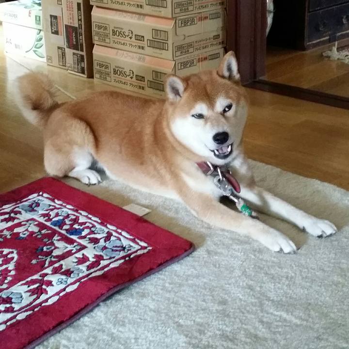 9f43d7ca 2bd0 4d58 bdc3 beab6faf0756