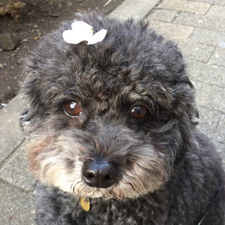 9f4459b0 7530 4136 8568 d584b49afe6c