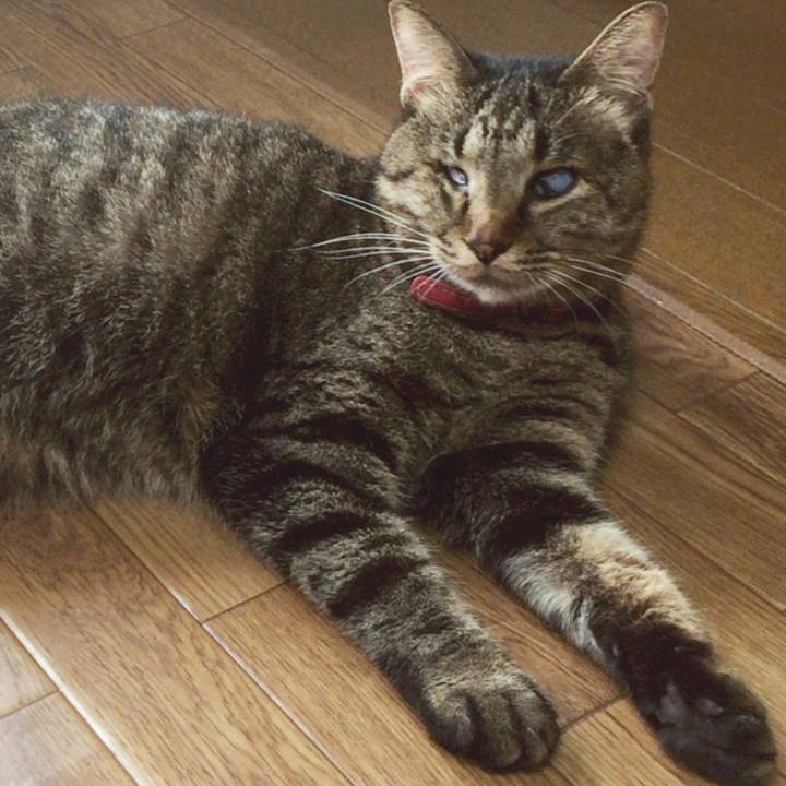 9f449170 18d2 4782 a6ab ef99bfeff4ef