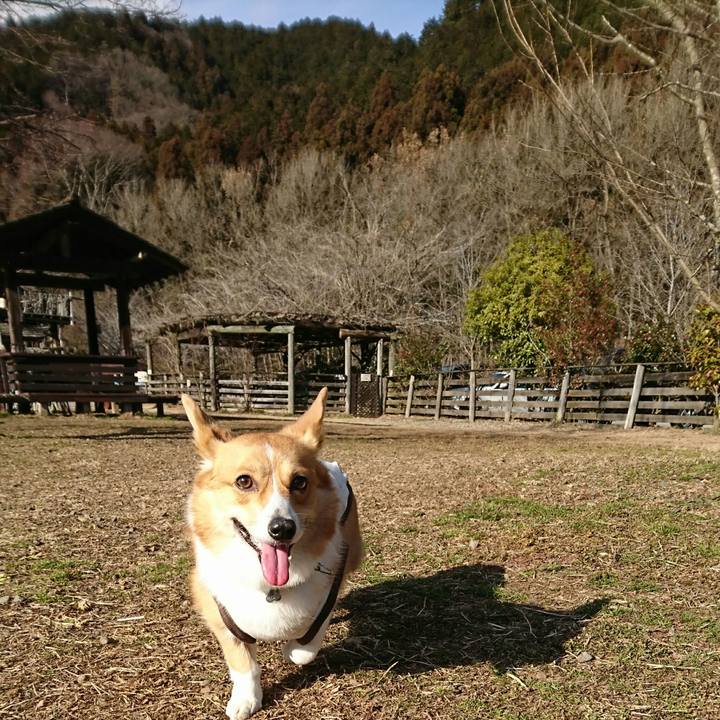 9f44a50a 32db 4941 bff0 ad257f9397a2