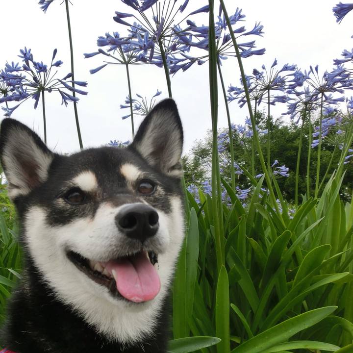 9f45ca3d 6941 4f9f 94ca 7d5b782425bd