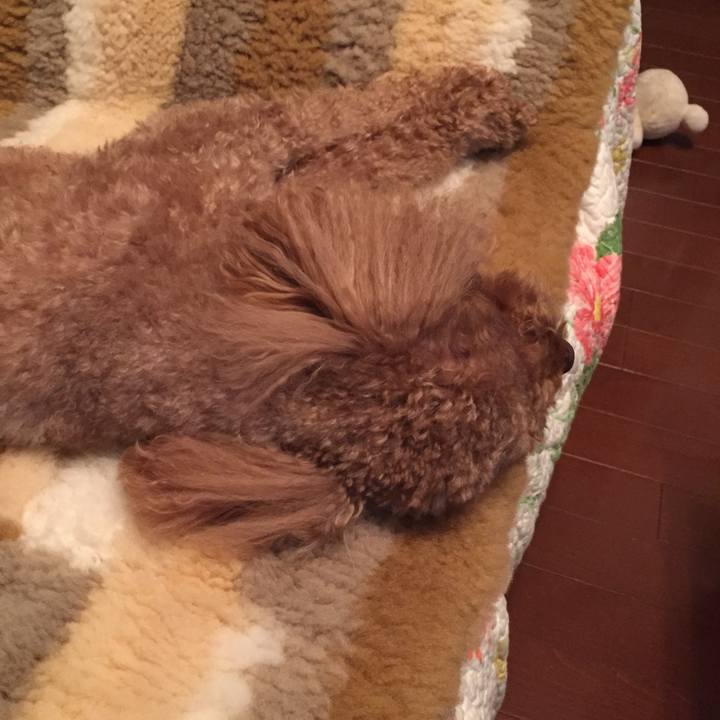 9f46c993 15da 46e6 bf2e 95b08dc45f71