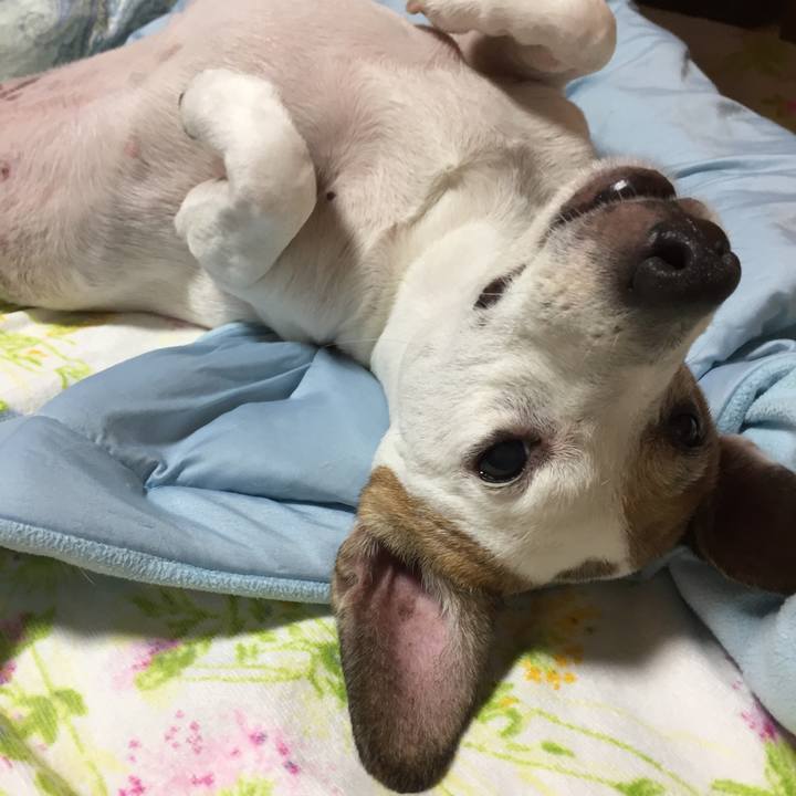 9f470ad7 e553 4a4e 81e1 0704f5a3ec77