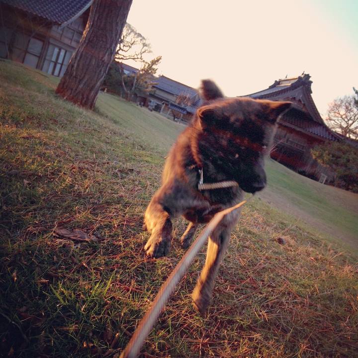 9f47cb10 e22c 403d a999 bf82f999888d