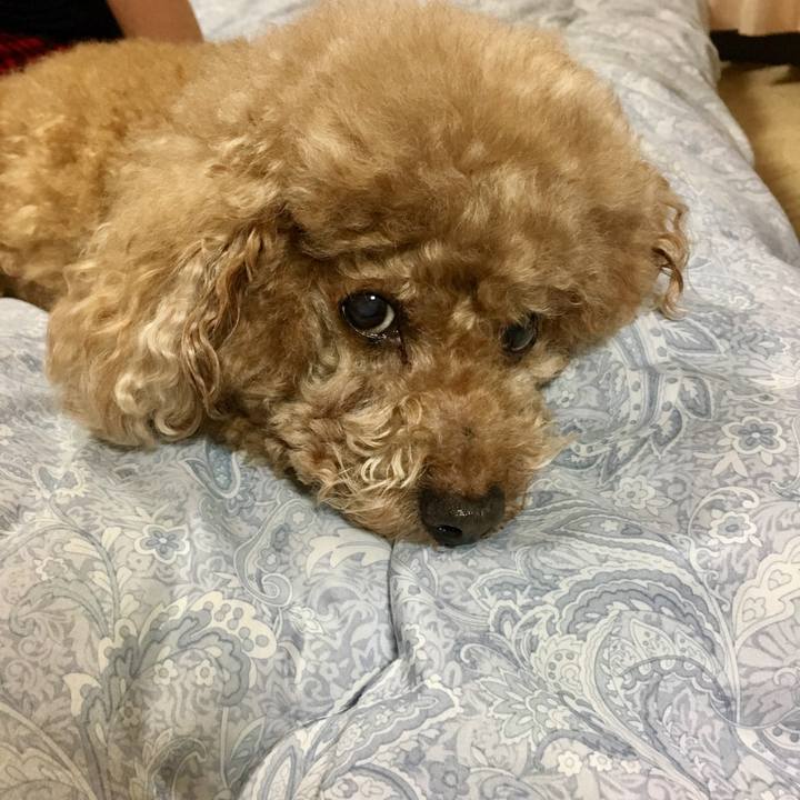 9f484971 ec35 4a5a b5c2 34e3d7f98a48