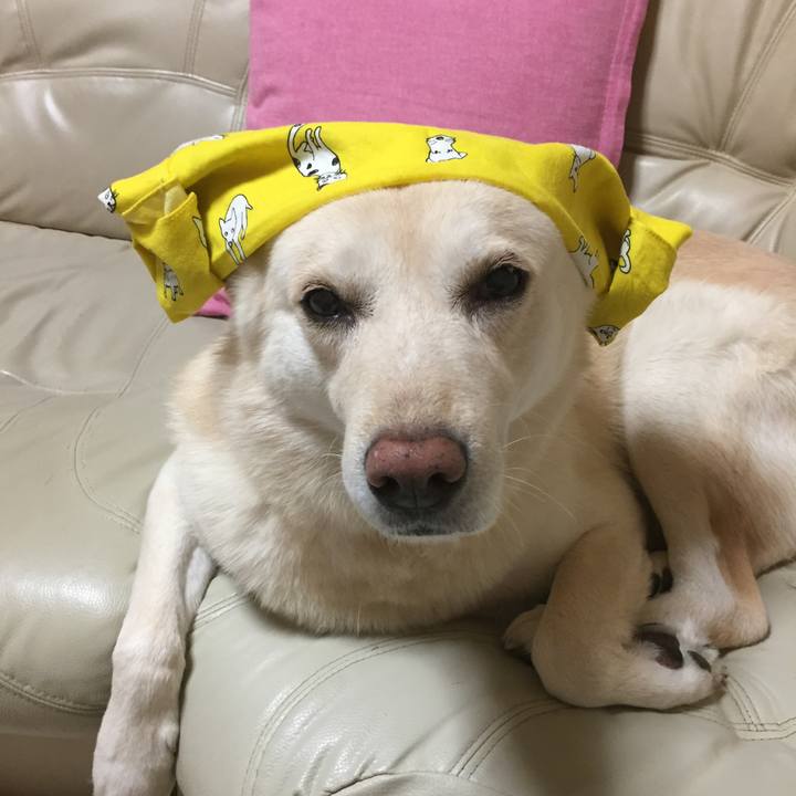 9f48dc92 62b6 4c56 aa23 d11daf110b58