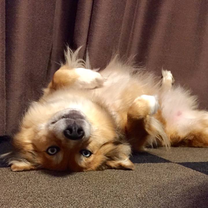 9f49fe9d 0c66 450c 9b49 0a257502c04d