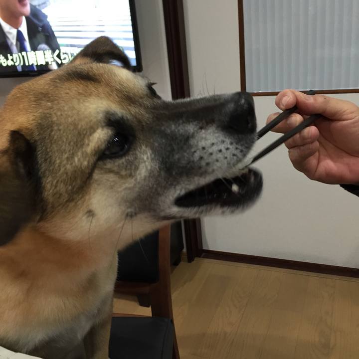 9f4a16f3 1738 4f60 921a c4e42de35941