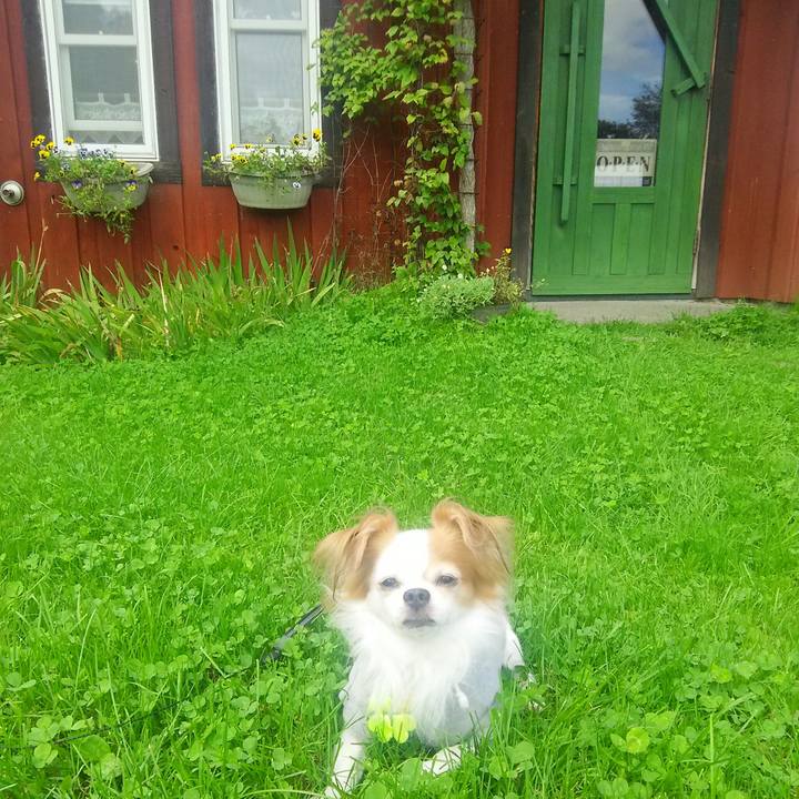 9f4a447b dd6f 4882 a5ca da1fbe039531