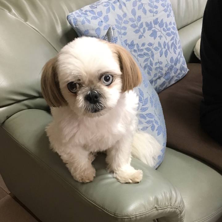 9f4ab3f1 4cc1 404f bcc9 0dcdbfaa07e3