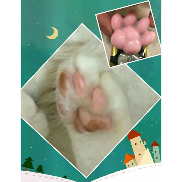 9f4bb4d4 0630 430e b712 748eb82b9c1a