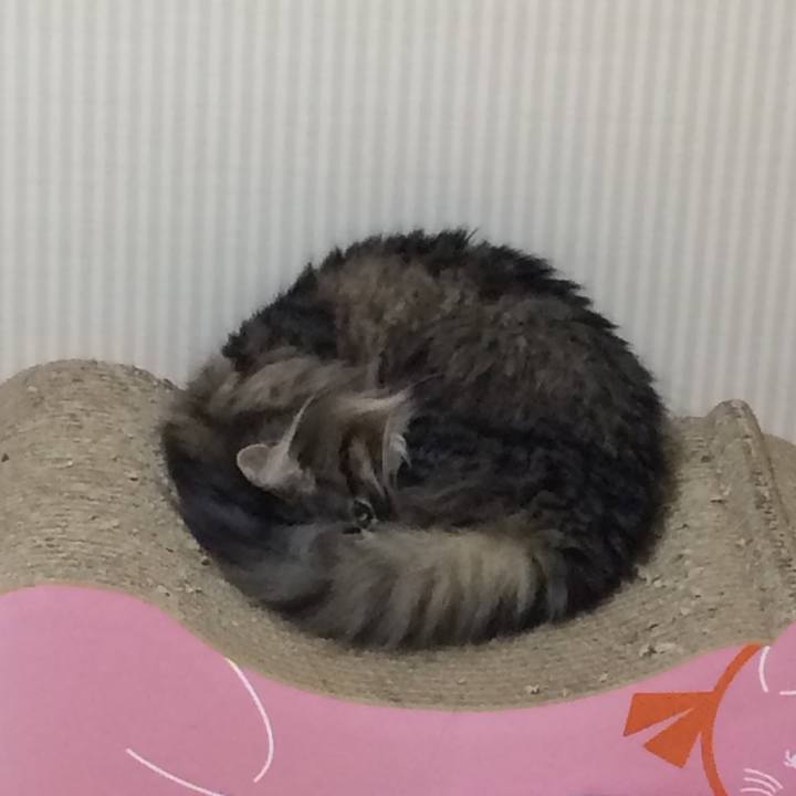 9f4bb6d5 49e2 4a98 9784 7ea972ff25bb