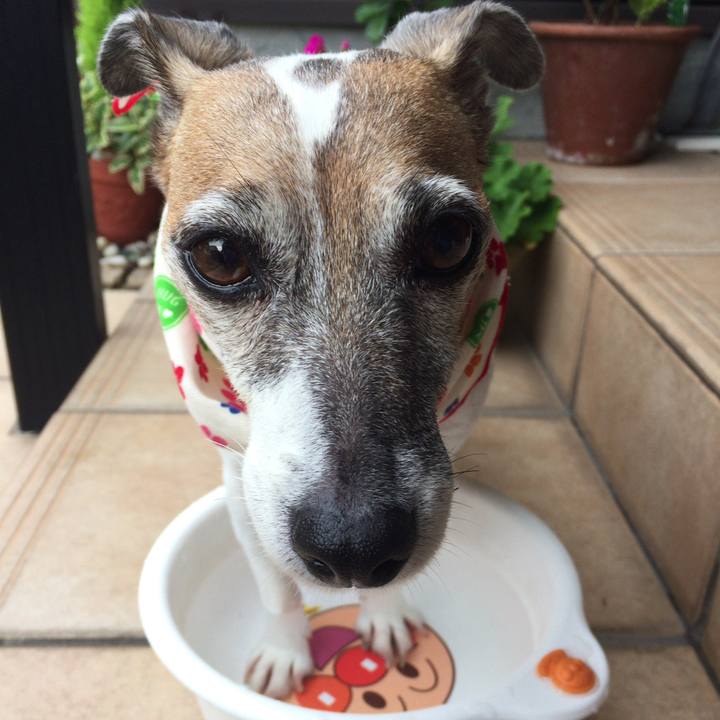 9f4c00b4 6978 4cc9 ab00 979cdda97770