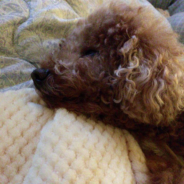 9f4c296d c38d 4b74 b791 33823401fdb6