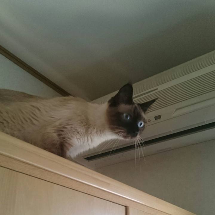 9f4c3220 4249 40eb 9b42 569dc74747c0