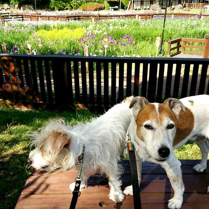 9f4c7753 209d 473f abe6 83483a3e0685