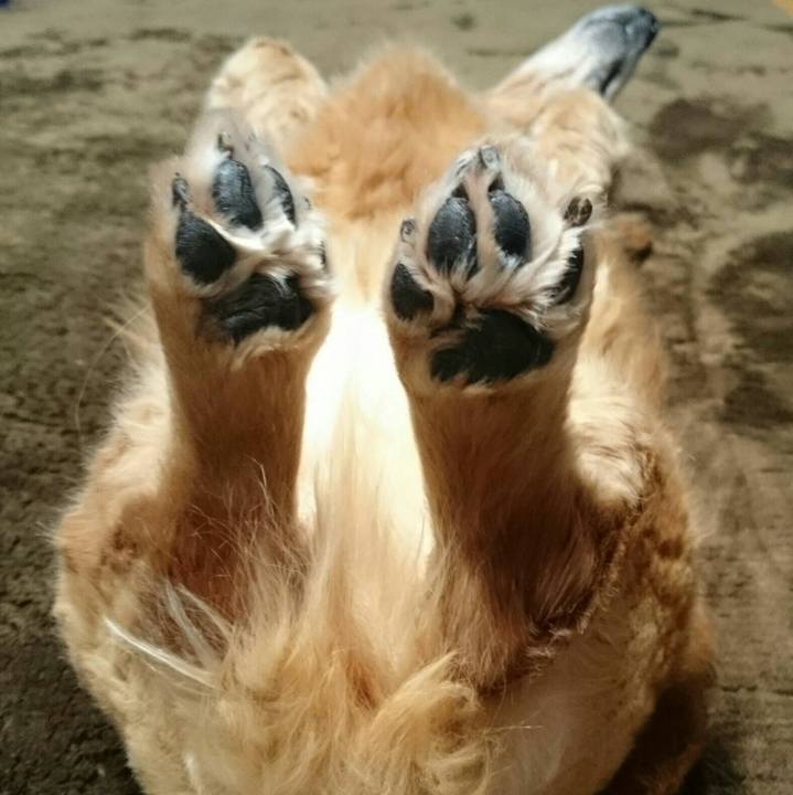 9f4d495a ec61 4a88 bd4b bd456e4e2e54