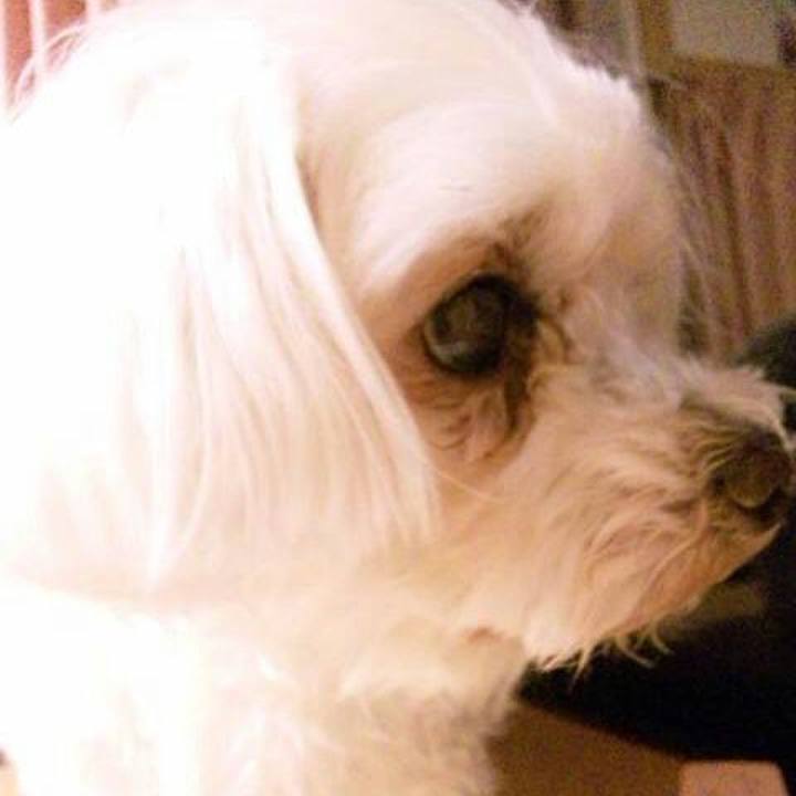 9f4dbc63 b205 4d2a 8d90 3124e5d1592d