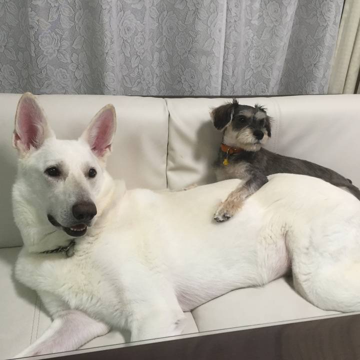 9f4de628 e765 4b00 99ec e11a41b726da