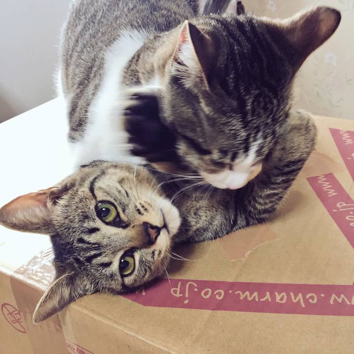 9f4df4ac a216 49c6 9b64 f07794668b70