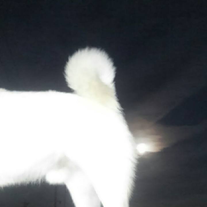 9f4e01ad a702 4747 86b8 25c415242c80