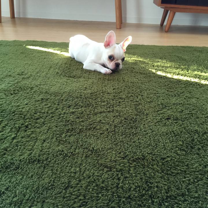 9f4e08a5 5174 45d0 80cc af6f276e54b6